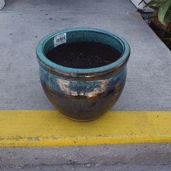Flower Pot