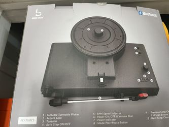 Vinyl Record Player & Speaker