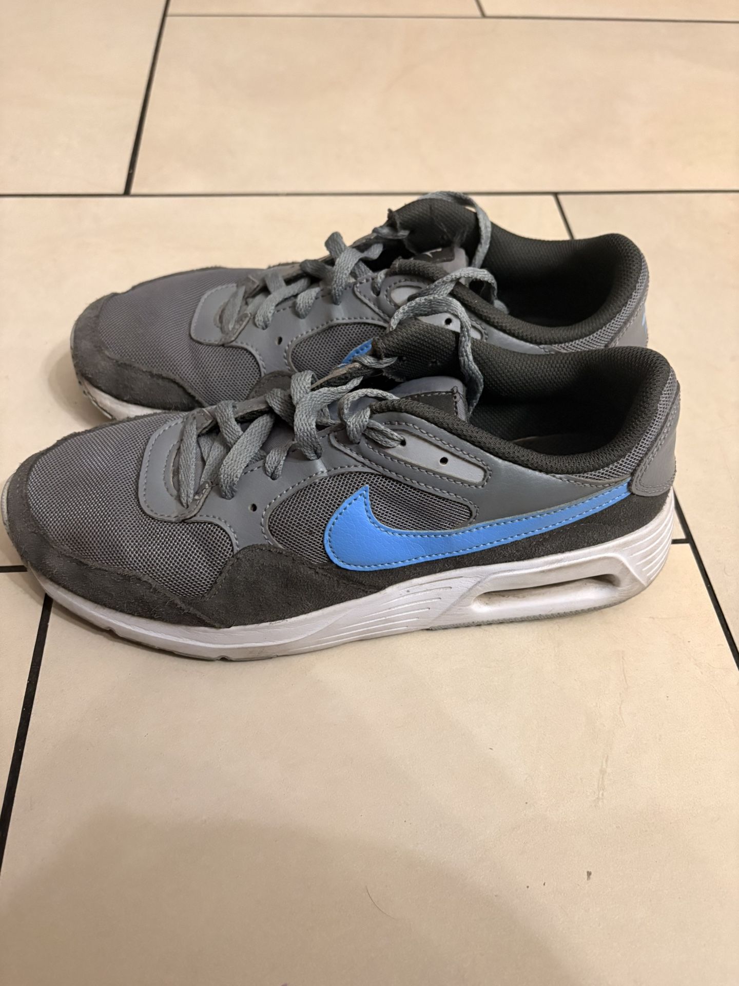Nike Air Max SC Sneakers