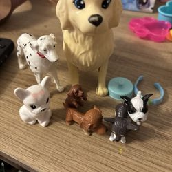 Random Tog Toys