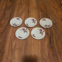 Set Of 5 Spring Rose Design Japanese Plates