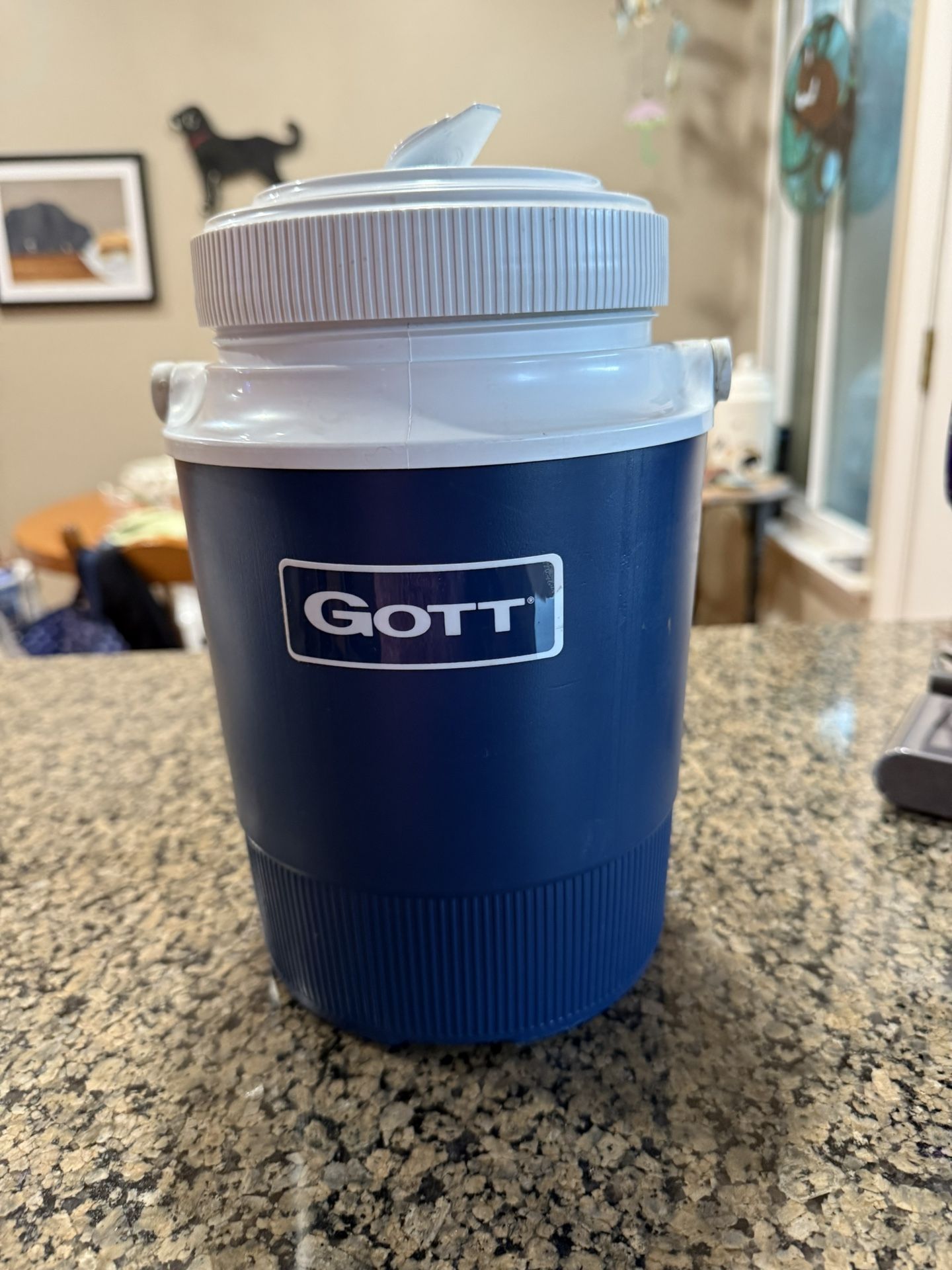 Water Jug