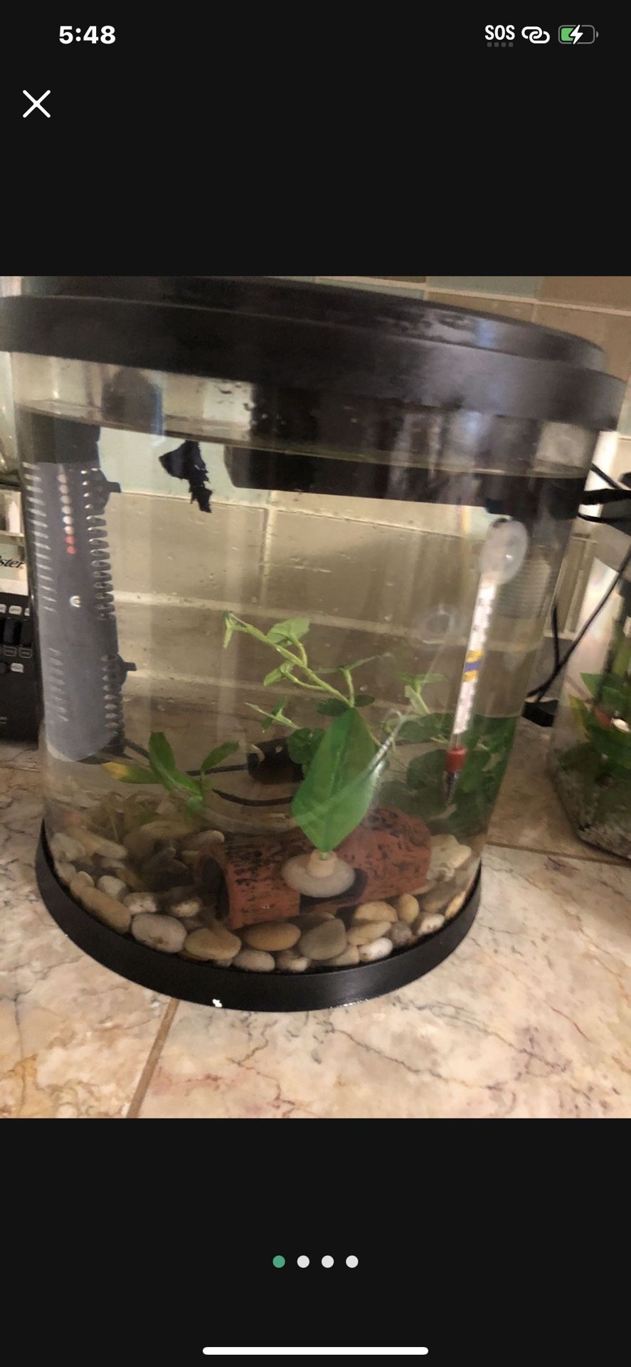 Fish Aquarium Tank No Fish