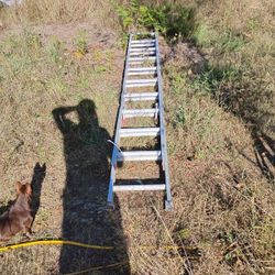 20 Foot Aluminum Extension Ladder.