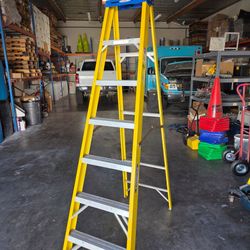 Werner Fiberglass Step Ladder