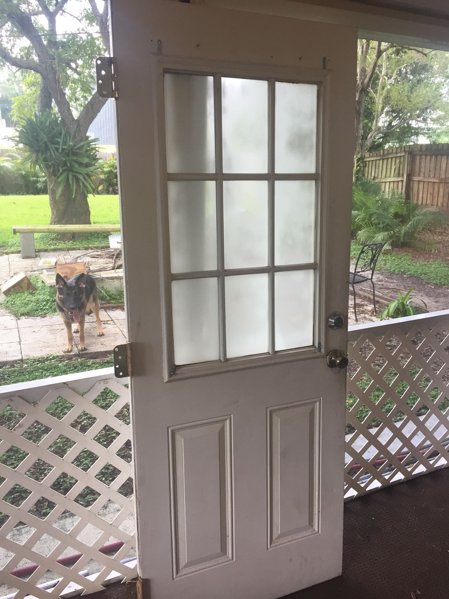 Door with frosted glass panels