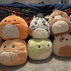 Squishmallows $12 Each Or Best Offer 