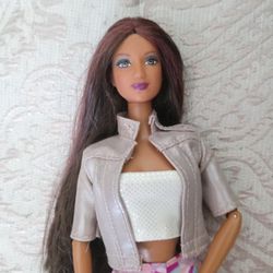 Barbie Brunette Reddish Pinkish Streaked Hair