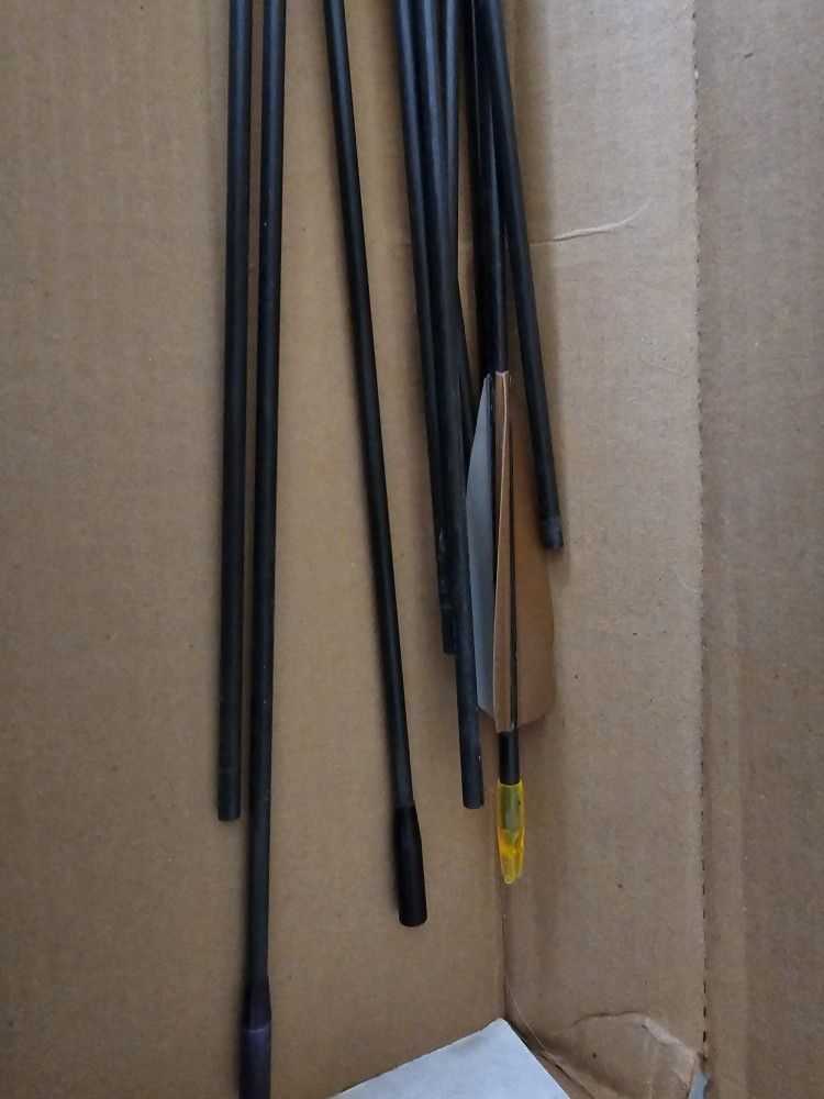 Cabelas Arrows