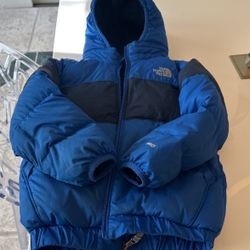 Toddler North Face Jacket 