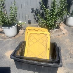 TOTES 