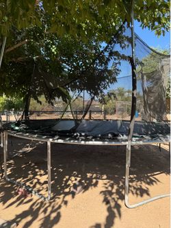 Trampoline