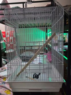 Bird cage size in photos