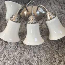 Light Fixtures  Brush Nickel With White Light Covers 