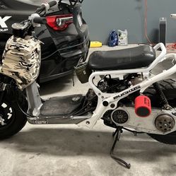 2007 Honda Ruckus