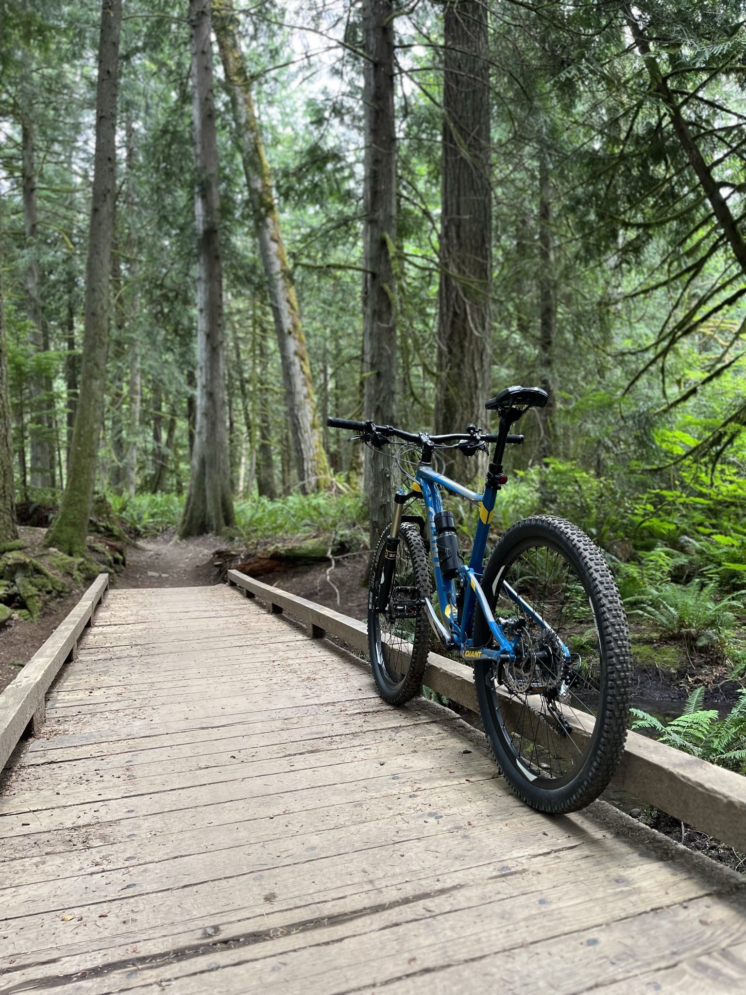 Full Suspension Mountain Bike (Giant Anthem SX)