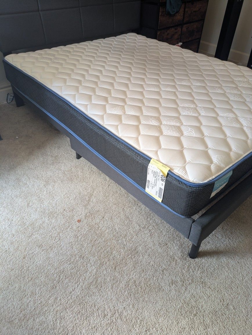 Mattress Firm - Queen Mattress