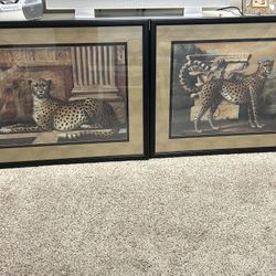 Beautifully Framed And Matted Animal Prints - Cheetahs 