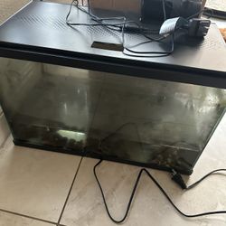 10 Gallon Fish Tank + Filter And Extra Filet Pads 