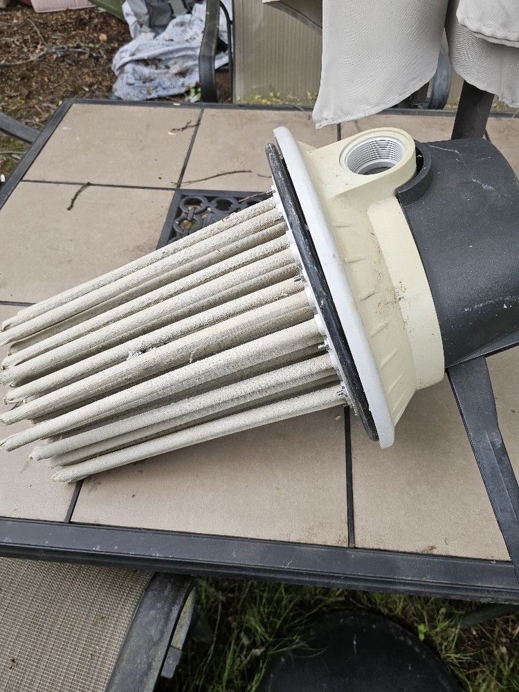 Price Is Firm.. Haywood Nest With Fingers EC50