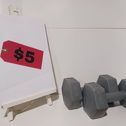 5lbs Dumbells Hard Plastic Flo 360 Brand
