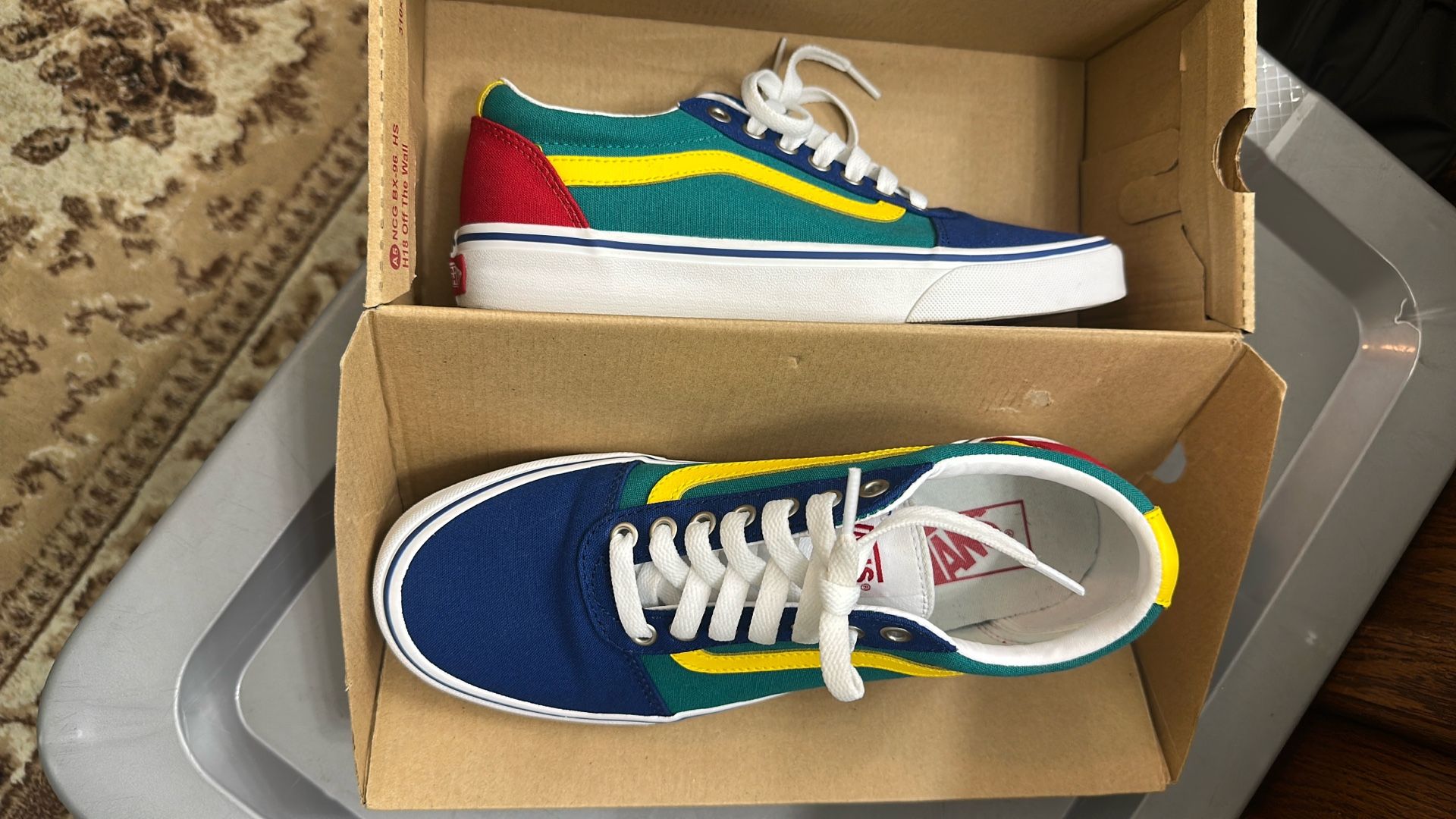 Multicolor Old Skool Vans