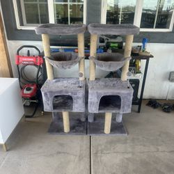 Cat Trees