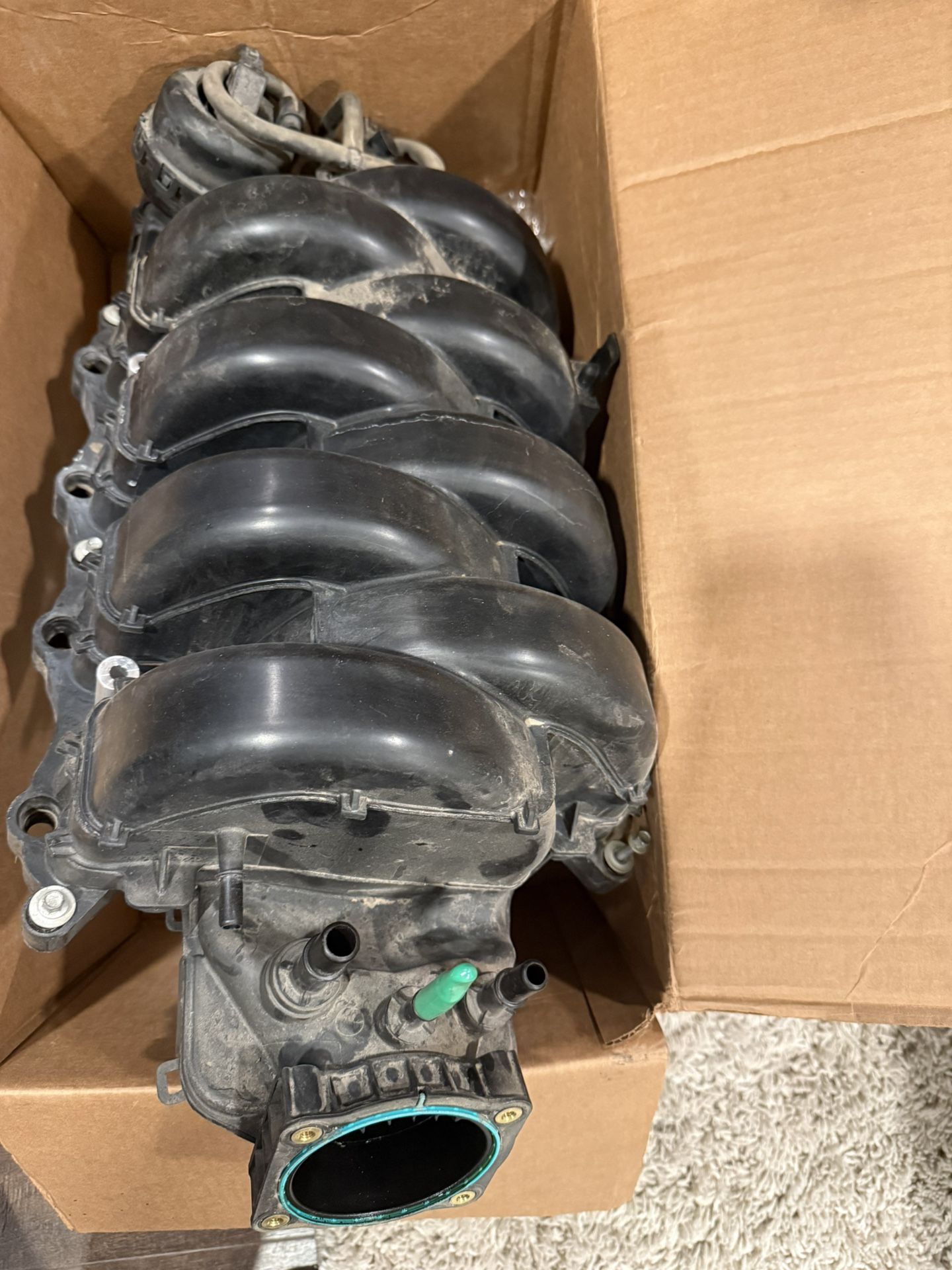 18-20 F150 5.0 Intake Manifold