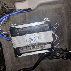 Tarantula Amp