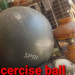 Excercise Ball 