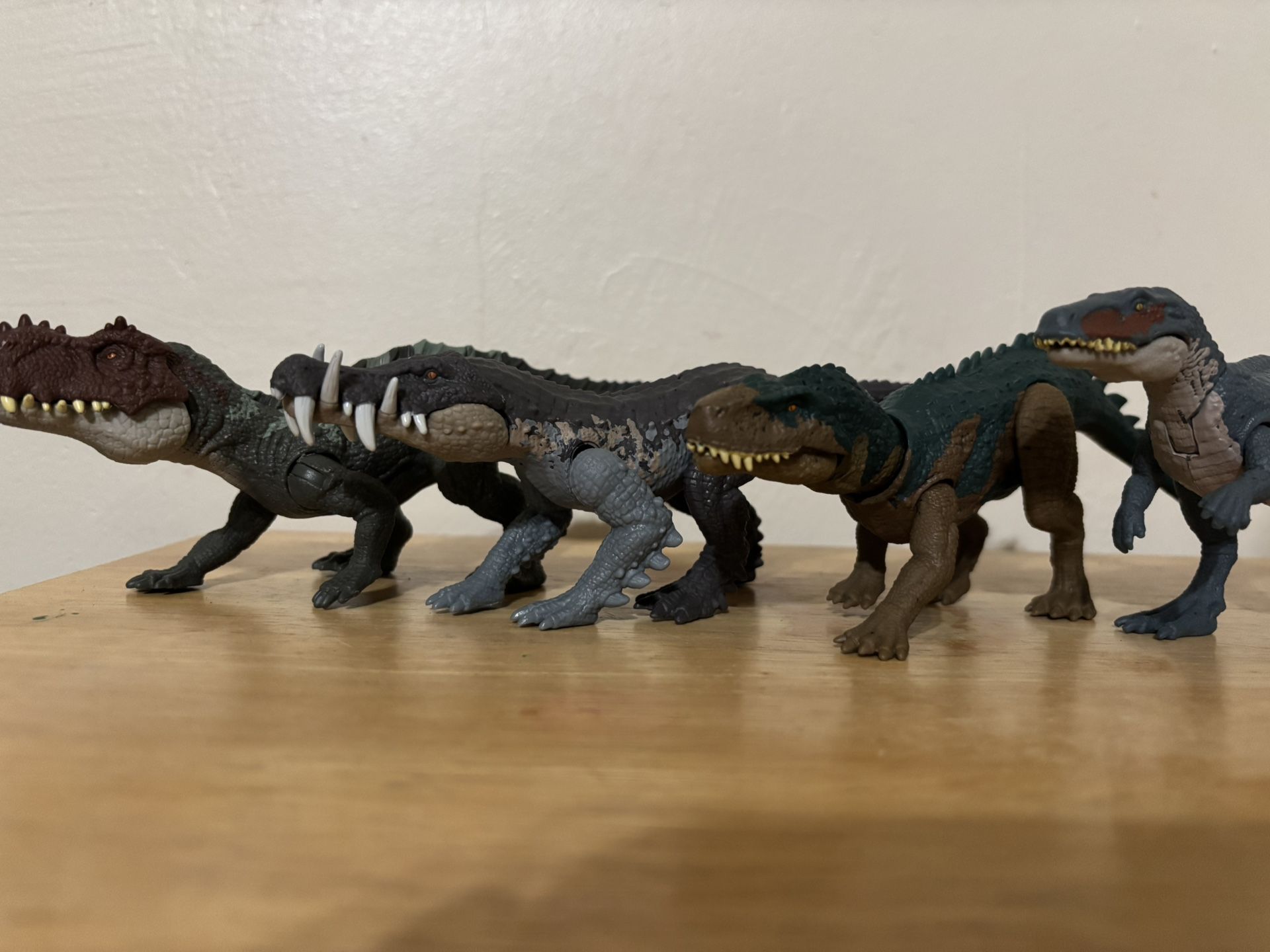 Crocodile Relatives
