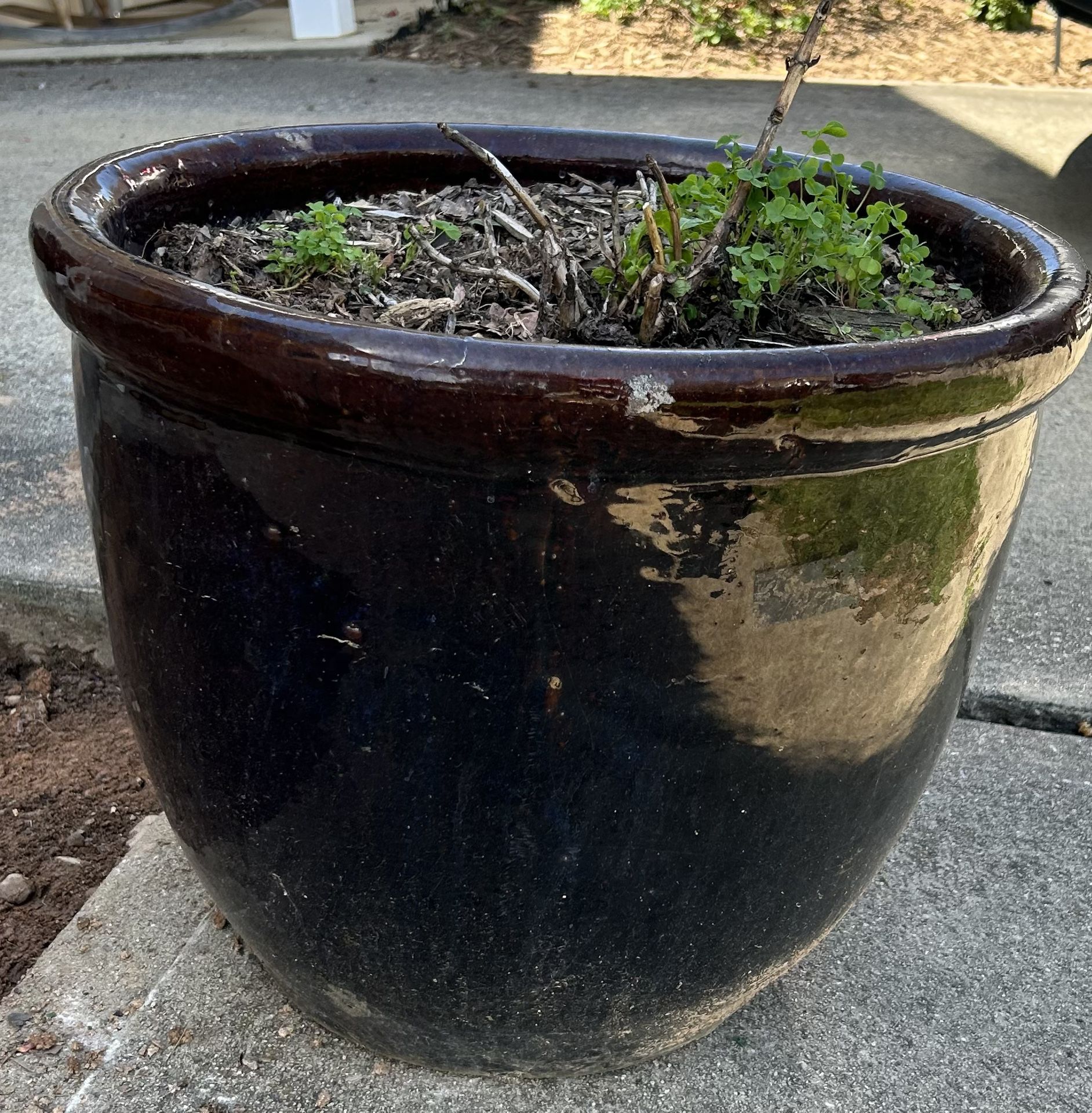 Terra Cotta Glazed Planter - Pot