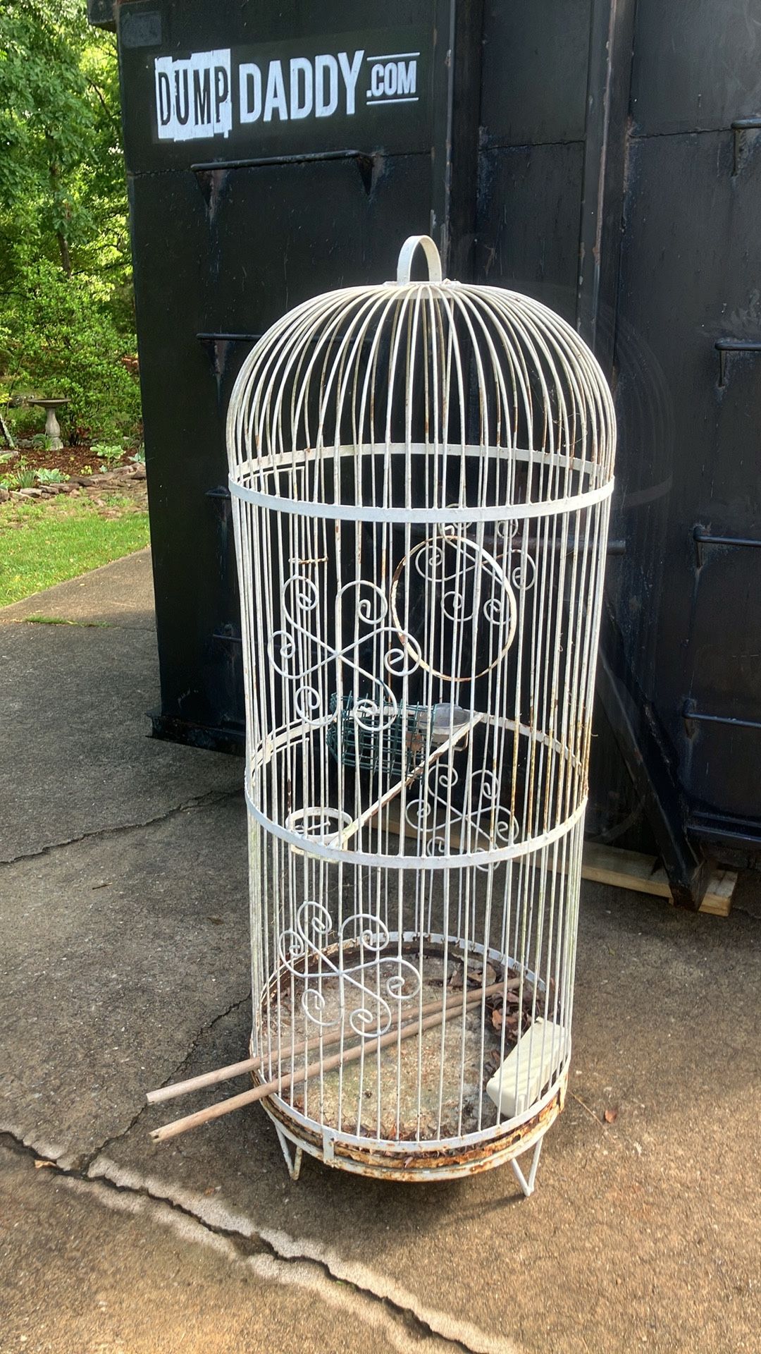 Bird Cage
