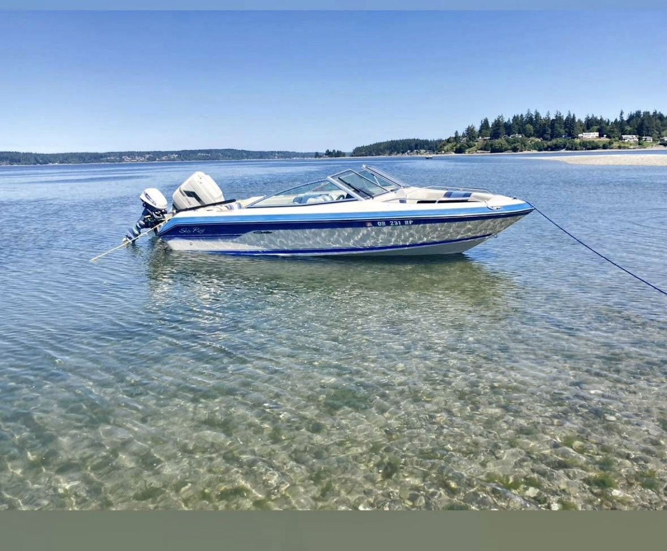 1988 Sea Ray Seville 160