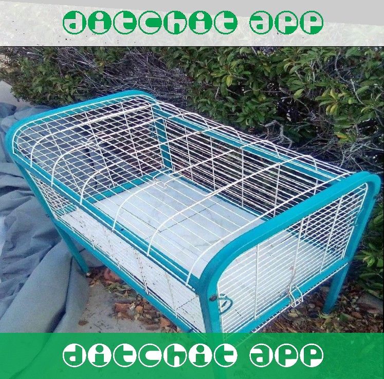 Tough Metal Dog Crates - Dependable and Secure thing decide