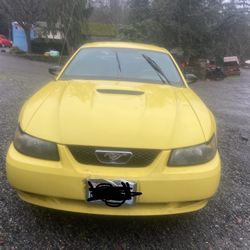 2001 Ford Mustang