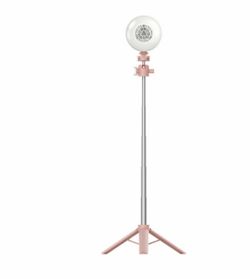 Selfie LED tripod light