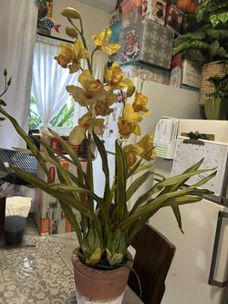 Plants Artificial