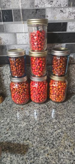 Sun Dried piquin pepper