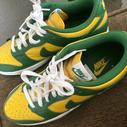 nike oregon duck dunks sb