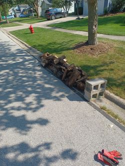 Free firewood and 2 cinder blocks