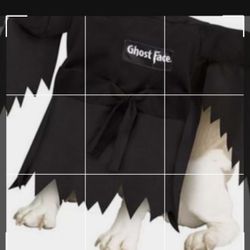 Halloween Dog Costume 