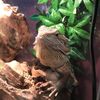 Sebastian