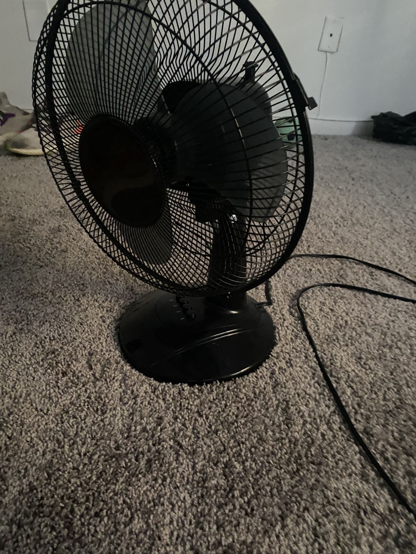 Fan