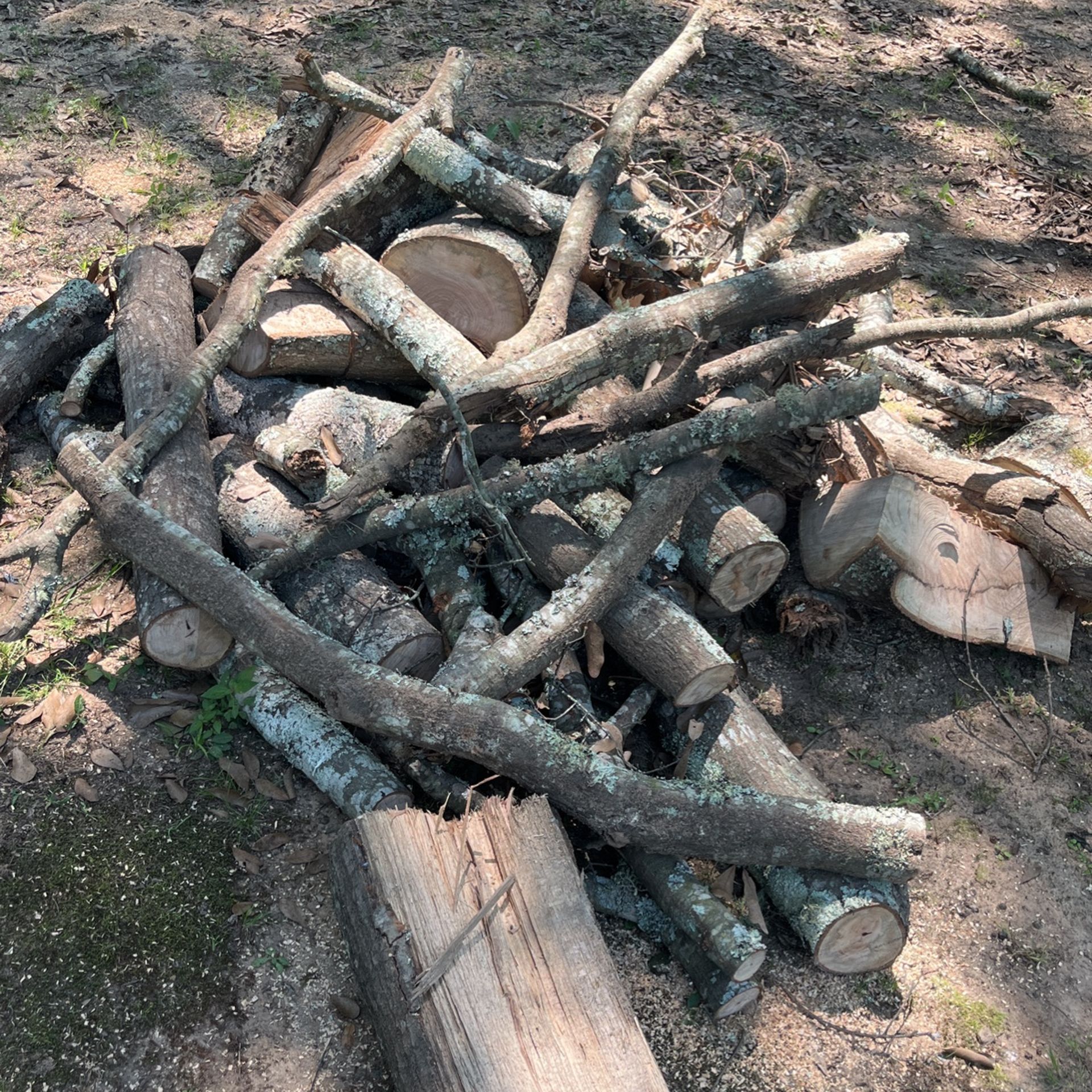 Firewood