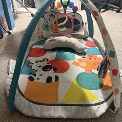 Baby Einstein Play mat