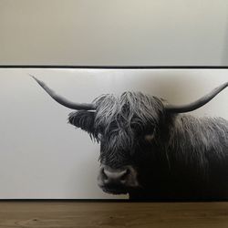 Highland Cow Art Decor