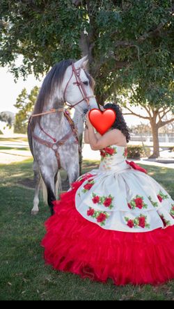 Quince charro dress