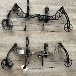 Bow N Arrow Bear/ Blackout 