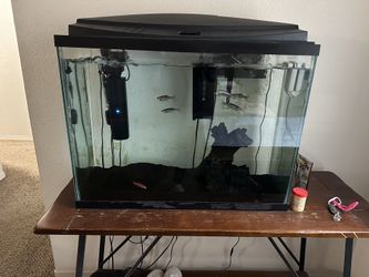 40 Gallon Aquarium 